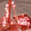 Fairy String Lights with Cherry Blossom Design, Hand Painted and Colored Petal Accents, Adjustable Brightness Dimmer and Flicker Function, Multiple Li 2