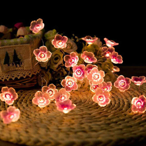 Fairy String Lights with Cherry Blossom Design, Hand Painted and Colored Petal Accents, Adjustable Brightness Dimmer and Flicker Function, Multiple Li 2