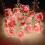Fairy String Lights with Cherry Blossom Design, Hand Painted and Colored Petal Accents, Adjustable Brightness Dimmer and Flicker Function, Multiple Li 4
