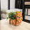 Flowerpot Molds 7