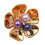 4Pcs Rhinestones Pearls Button Clips Decorative Cufflinks-6 2
