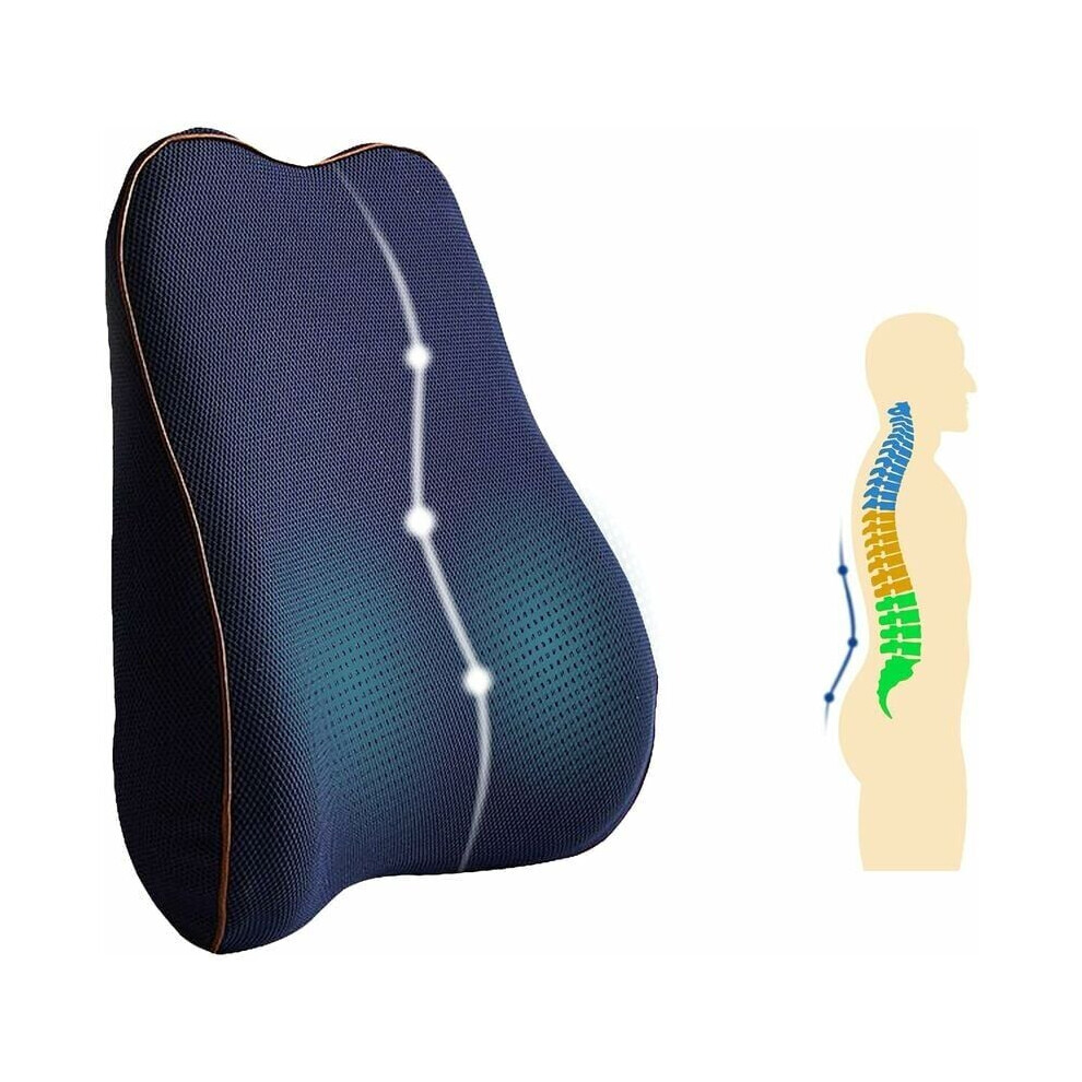Lumbar Support Pillow, Ergonomic Design & Temperature-sensitive Sponge for Posture Back Support, Memory Foam Back Cushion for Pain Relief & Im