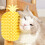 Lit confortable pour chats, jouet à gratter texturé pour-Jaune 7
