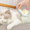 Lit confortable pour chats, jouet à gratter texturé pour-Jaune 5
