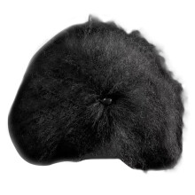 Ungestyltes Modell-Hunde-Übungshaar für die-Haare schwarz