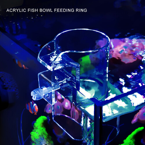 Betta Feeding Ring Clear Acrylic Bucket Floating Feed Circle 1