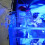 Betta Feeding Ring Clear Acrylic Bucket Floating Feed Circle 6