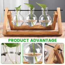 Estaciones de propagación vintage, plantas hidropónicas únicas para la decoración del hogar y la oficina.