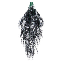 Fausse vigne de camélia, lierre, plante suspendue-Noir et blanc