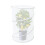 Système de protection des plantes ventilées, 4 pièces,-Blanc 7