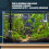 Kleine dompelverwarmer Energie-efficiënte aquariumverwarmer 7