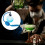 Bartenders Essential Cocktail Sprays Bottle-24 card blue 6