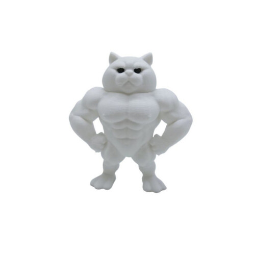 Figurine de chats musclés-Chat avec les bras sur les hanches