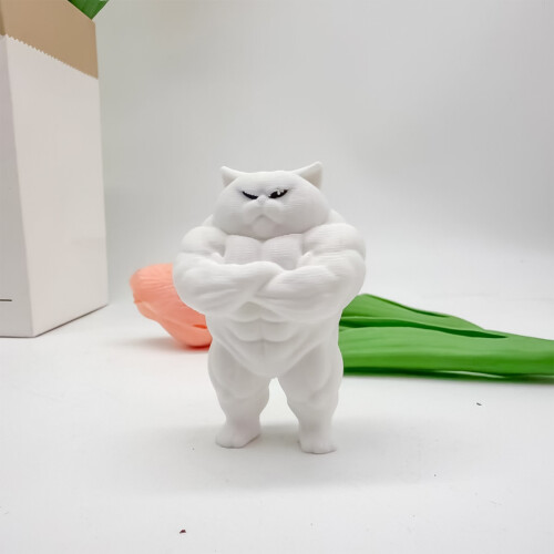 Figurine de chats musclés-Chat avec les bras sur les hanches 1