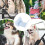 Pet stroller cushion: comfortable pet cushion, pet stroller mat, soft stroller cushion for strollers  soft cushion for strollers 3