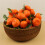 Realistic Tangerine Oranges Decors Artificial Miniature 2