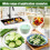 Pump Salad Spinner, Vegetable Dryer, Grater Slicer, Multifunction Kitchen Gadget Ref: 7007 3