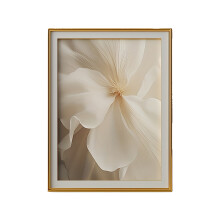 Images de fleurs, toile d'art mural imprimée, affiches-B 20x30cm