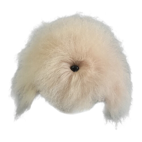 Ungestyltes Modell-Hunde-Übungshaar für die-Haar-Champagner