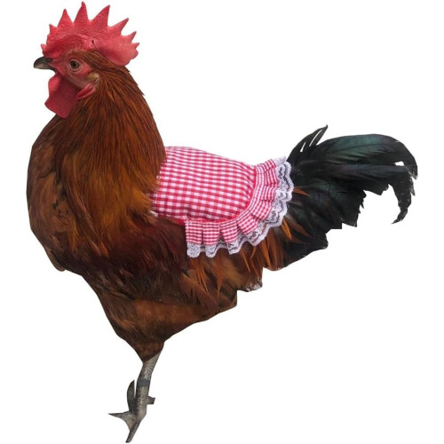 Hen Saddle Apron Protection Fixer Back Protector Hen Saddle Apron Double Layer Green 2