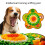 Jouet d'enrichissement pour chien, exercice d'alimentation 2