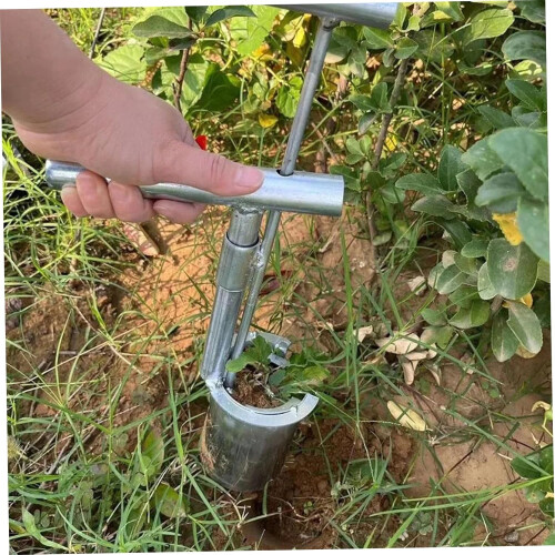 Bulb Planter, Bulb Planter Tool, Heavy Duty Long Handle Stainless Steel Seed Tool for Digging for Iris, Daffodils 2