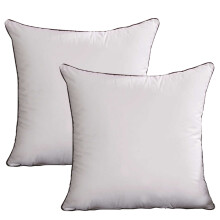 Fluffy Pillow Inserts, Breathable Fabric Set Of 2 Hypoallergenic Comfort Outdoor Suitable Decorative Throw Couch Pillows, 2Pcs Square Form 18x18 Inche