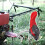 Handlebar Throttle Lever  Thumb Accelerator Control, Replacement Part  Road Cutter, Trowel Compatible Lever 3