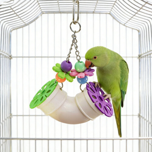 Durability Acrylic Bird Chewing Toy for Parrots Features 1