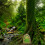 Feentür für Bäume, Miniatur-Feengarten, 5
