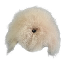 Pet Grooming Training Haar voor hondenmodel-haarchampagne