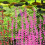 Tall Artificial Aquarium Plant Fishtanks-2 beads CL01 7