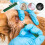 Tick Remover Tool for Dogs and Cats with Precision Flea Removal Kit, Lightweight MultiTool Set 2