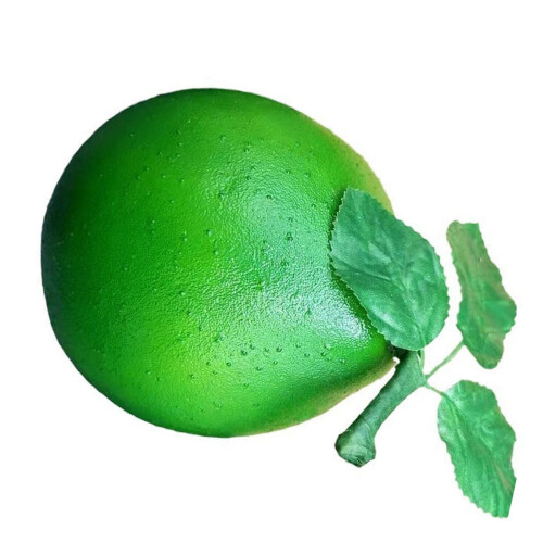 Artificial Grapefruit Simulation Foams Grapefruit Fruit-green