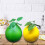 Artificial Grapefruit Simulation Foams Grapefruit Fruit-green 7