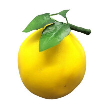 Foams Grapefruit Fruit Photography Props for Kitchen-Yellow