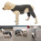 Pet Rear Leg Sleeve Wrap Support Aids in Healing Comfortable-XL 2