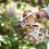 Westland Kent & Stowe Medium Floral Gardening Gloves 2
