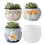 Crafting Planter Molds Silicone Texture Suitable for-J5389 5
