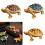 Handgemaakte schildpadden-sieradendoos met ingewikkeld-Goud. 2