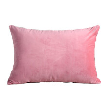 Housses de coussin luxueuses en velours, polyester résistant, toucher doux et soutien ferme, pour la décoration intérieure et extérieure