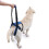 Adjustable Dog Rear Leg Support Harness Belt Soft Breathable-S 7