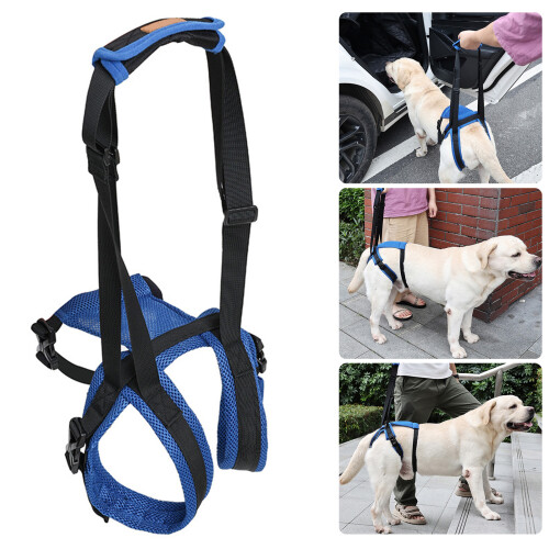 Adjustable Dog Rear Leg Support Harness Belt Soft Breathable-S 2