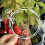 Krans stansmessen bloem koolstofstaal gestanst scrapbooking 5