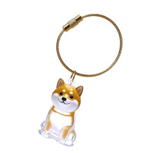 Haustier-Asche-Gedenk-Schlüsselanhänger mit-Shiba Inu