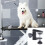 Pince de Support pour Table de toilettage, Clip de bras-Argent 4