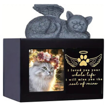 Harsenbestendige huisdierherinneringendoos-Angel Cat-toevoegdoos
