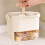 Multipurpose Push Button Ice Cubes Tray Double Layer-Creamy 2