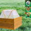 Protective Mesh Plant Cage Foldable Cover Bird Insect-large 5