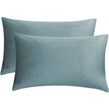 Housses de coussin en velours chic, coussins en velours doux et confortables pour un entretien facile, lot de deux